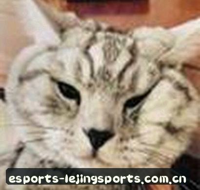 王磊